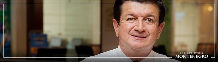Servicio de Consultoría Virtual - Enrique Núñez Montenegro